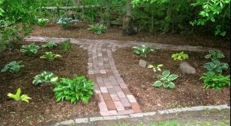 hostas walkway garden
