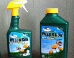 Weed-B-Gon & Fiesta, The Weed Killers? - Mineola Yard Structures