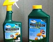 weed b gon bottles of weed killer