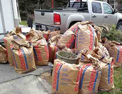 Yard waste bags by the road