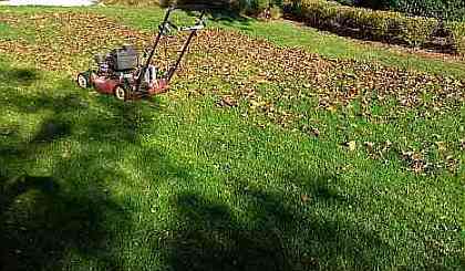 Mulching the fall leaves while cutting the lawn. Great nutrients for the lawn, saves time removing them.