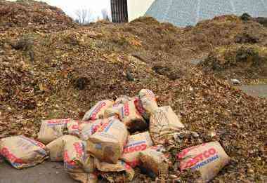 The city of Mississauga municipal works department yard with truckloads of leaves stacked about 25 feet high. I bring my waste bags full when the Vacuum trucks have ended picking the leaves up. The city of Mississauga municipal works department yard with truckloads of leaves stacked about 25 feet high. I bring my waste bags full when the Vacuum trucks have ended picking the leaves up.