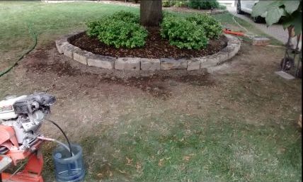 natural stones around maple tree