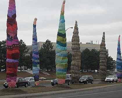 Colorful burlap tarp covering huge oak trees planted by the city of Mississauga, on Hurontario Street by Square one. Colorful burlap tarp covering oak trees planted by the city of Mississauga, on Hurontario by Square one.