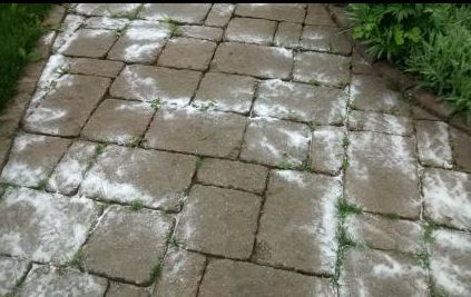 salt on stones for weeds - When you are having trouble growing a lawn, remove and replace as much as possible with walking stones and patio stones. Weeds stay away and it all looks so natural. salt on stones for weeds