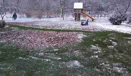 Blowing the first snow along with last of the stubborn leaves Blowing the first snow along with last of the stubborn leaves