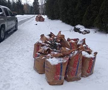 Yard Waste bags at road covered in snow.